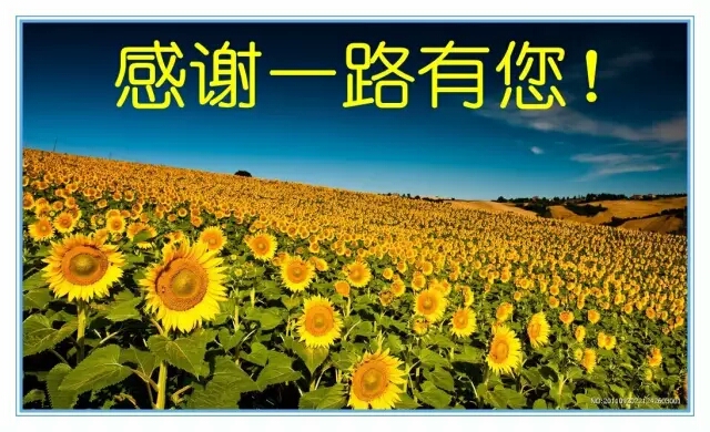 12,能又一次接到你的祝福好高兴,也好意外.真的谢谢你能记得我!