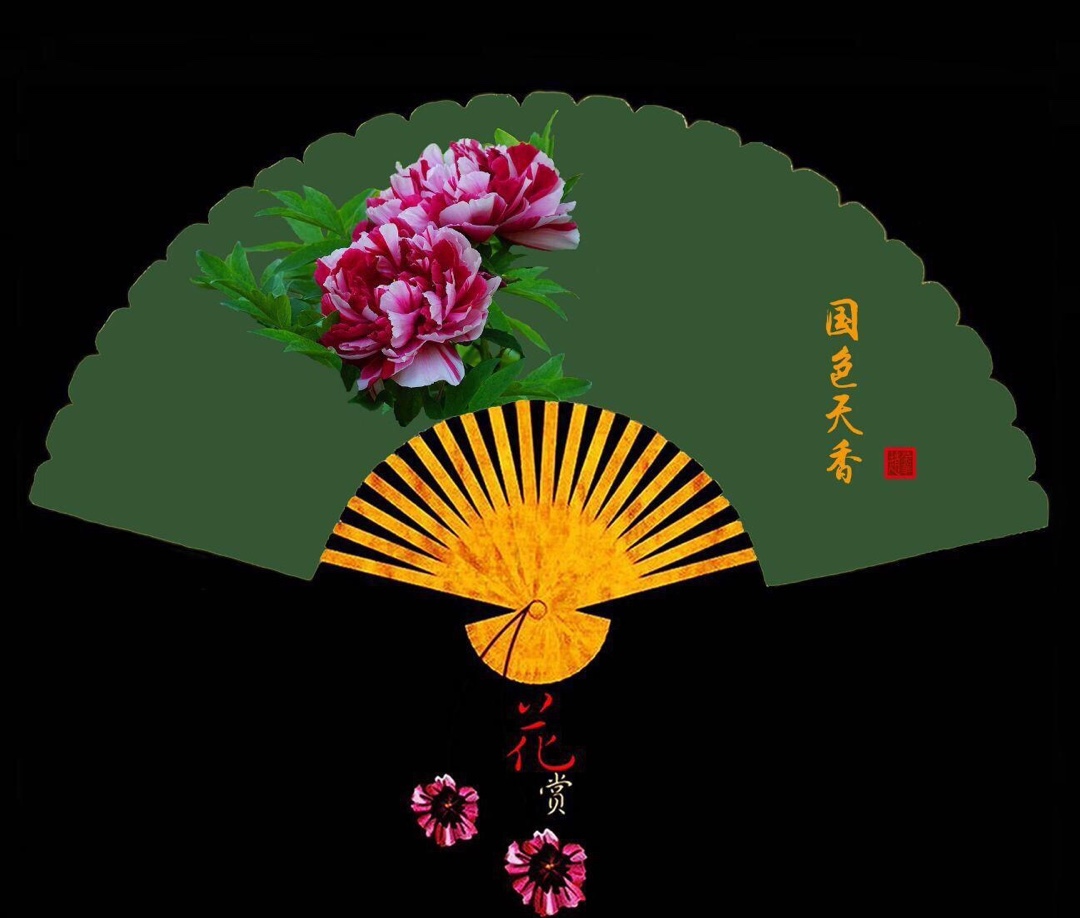 牡丹花扇