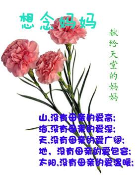 我想你,妈妈
