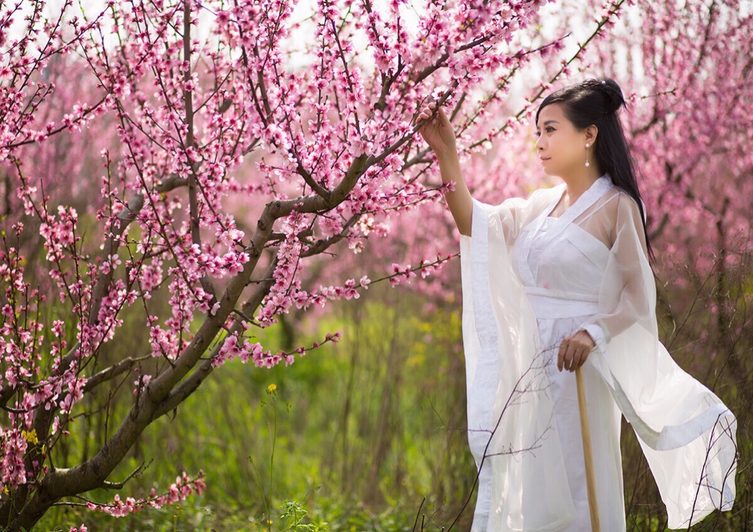 杨柳千寻色,桃花一苑芳