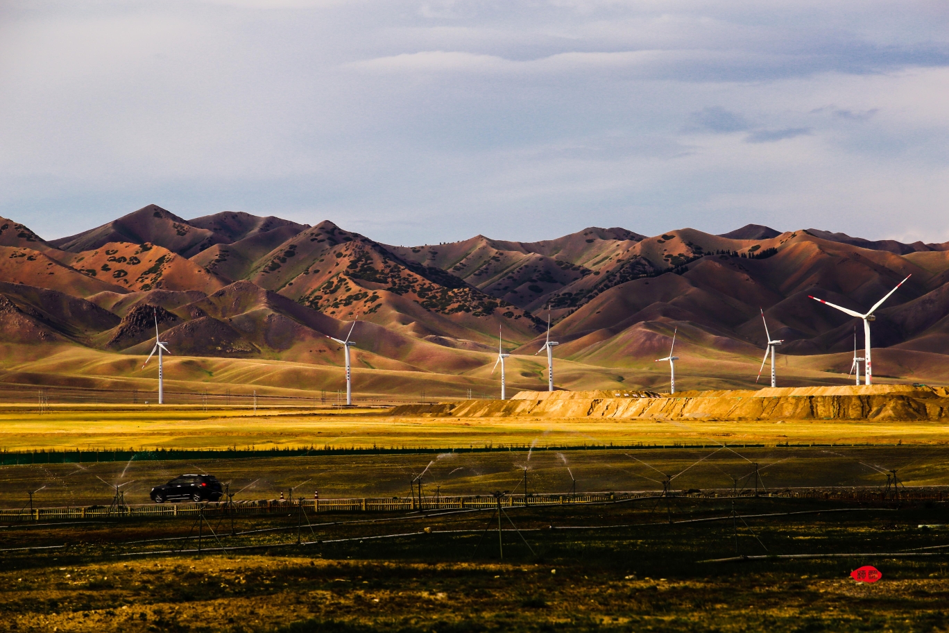 大美新疆(一)薰衣草基地,霍尔果斯,赛里木湖游记