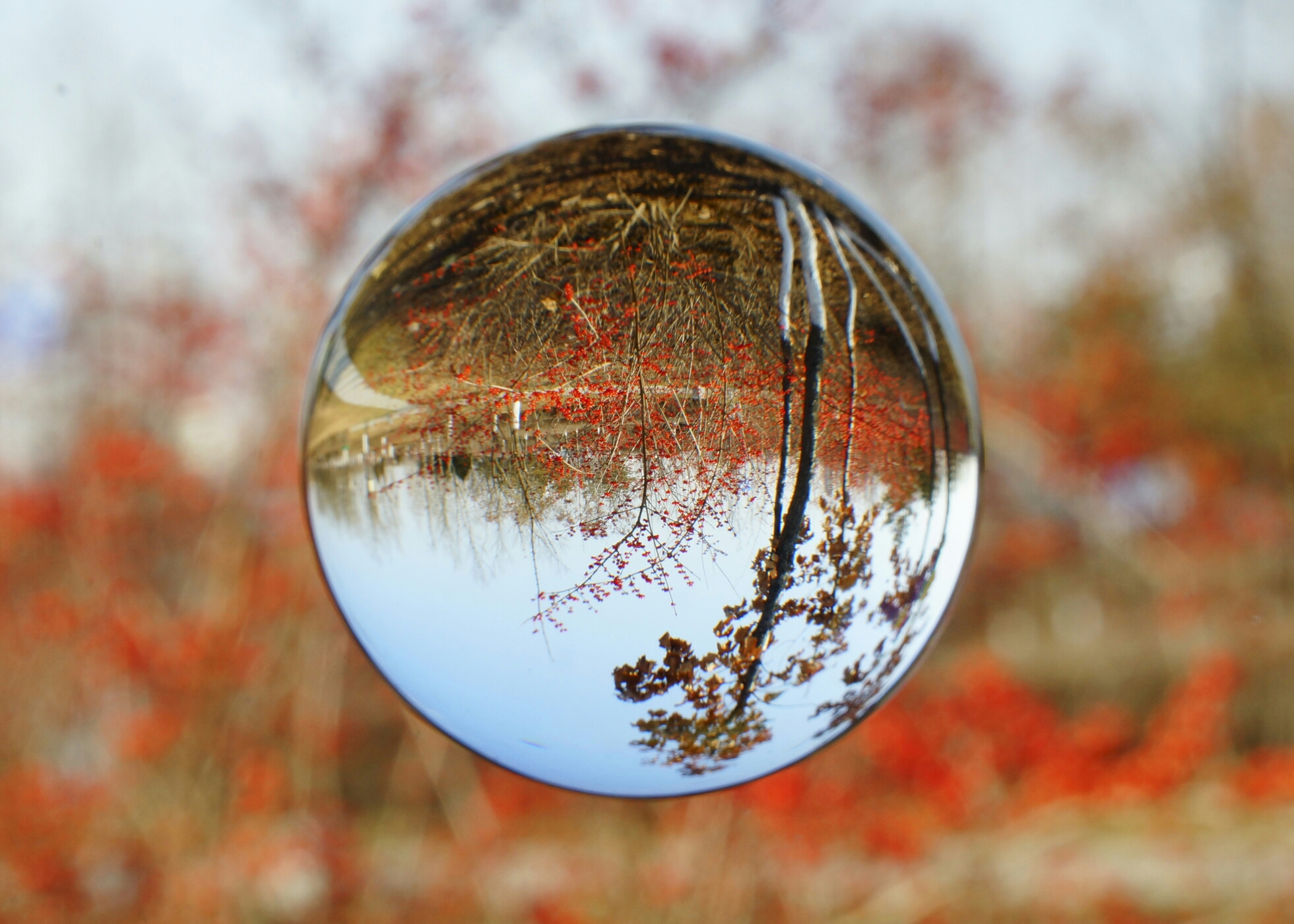 迷人的水晶倒影摄影:高秀明2018.11.19