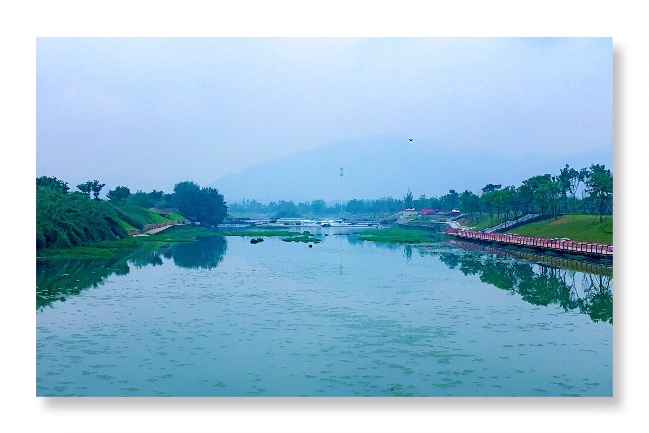 《梅溪初夏之声》2019年6月1日摄于金华梅溪畔(手机版)