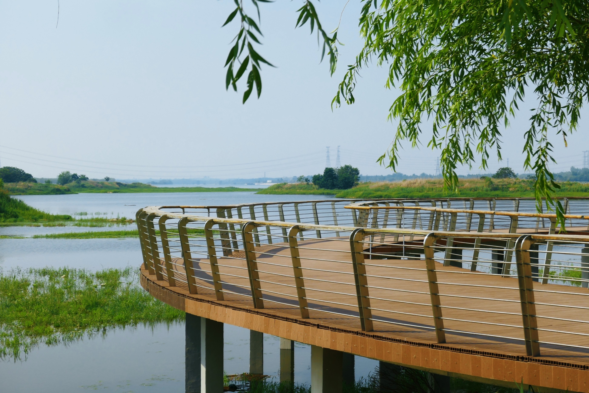 泰安明堂河湿地公园图片