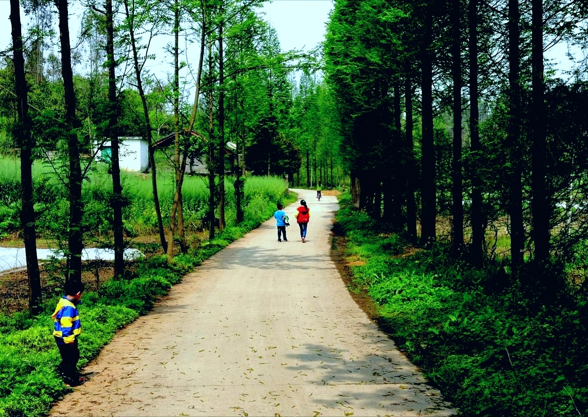 走在乡间的小路上