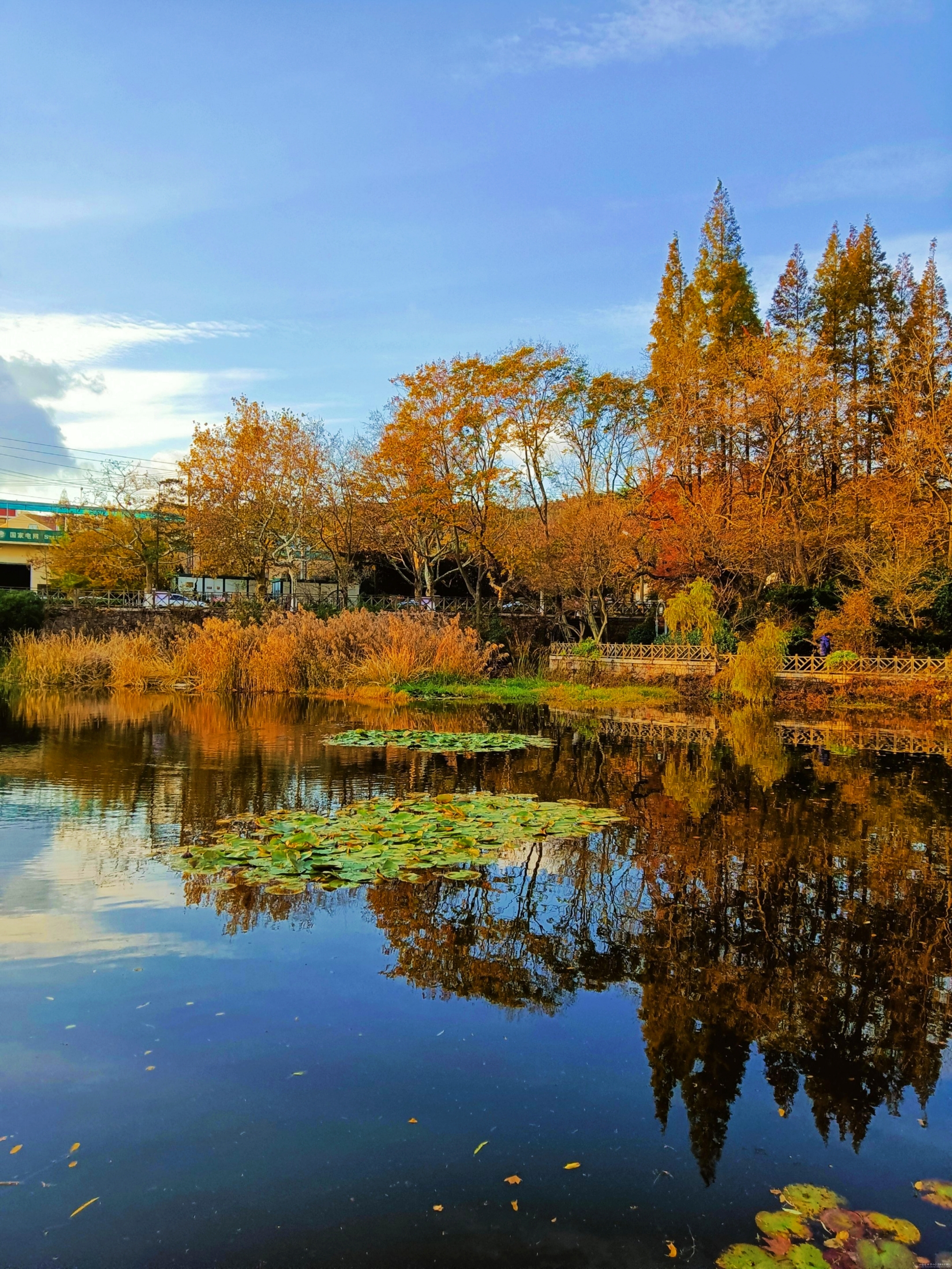 公园之对称之美【首发】