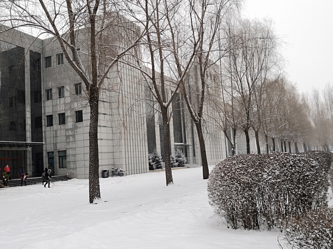 黑龙江交通职业技术学院哈校区--初雪