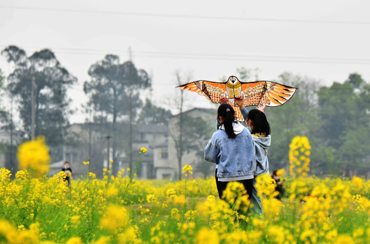 春游一踏青路上