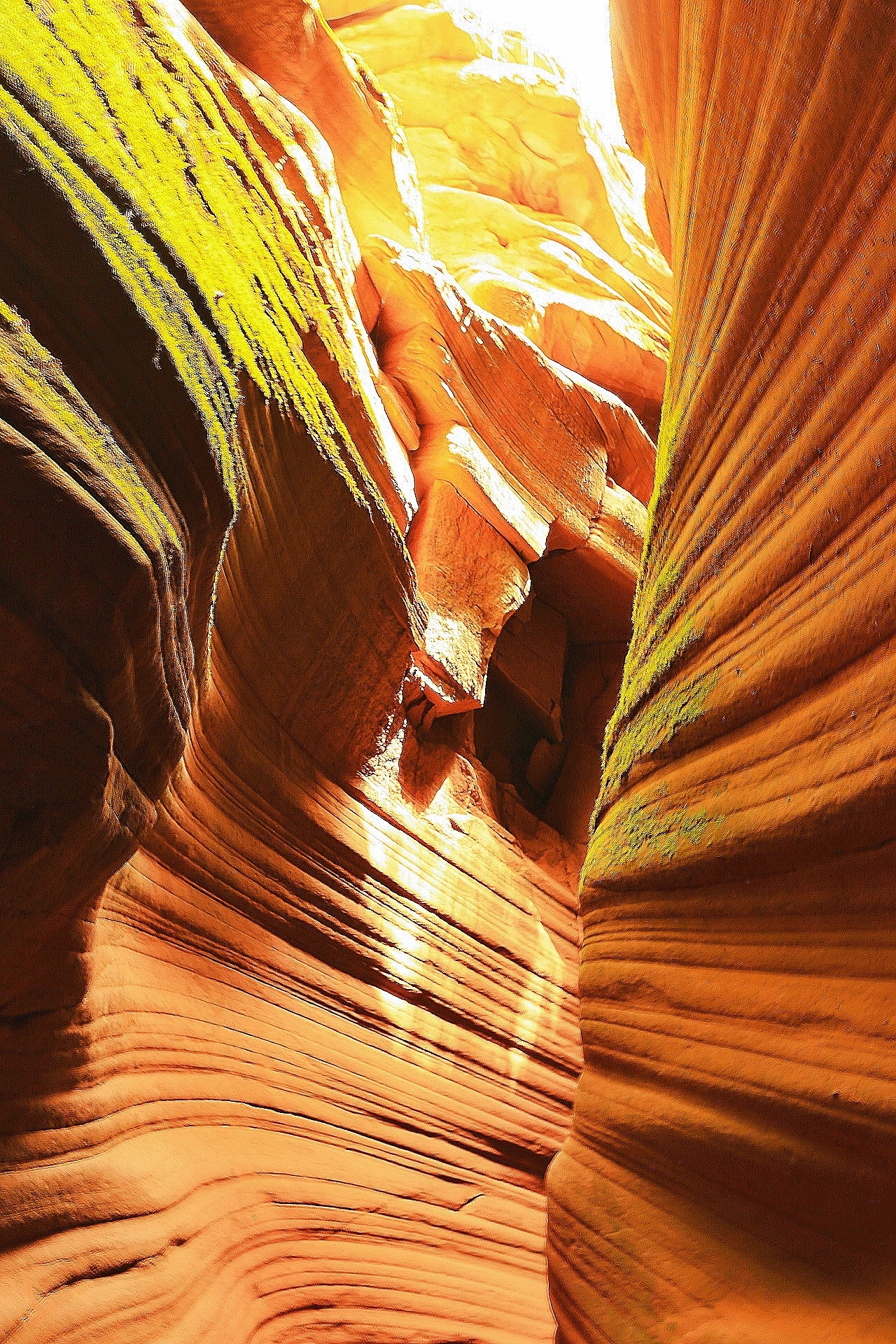 黄土高原峡谷奇观