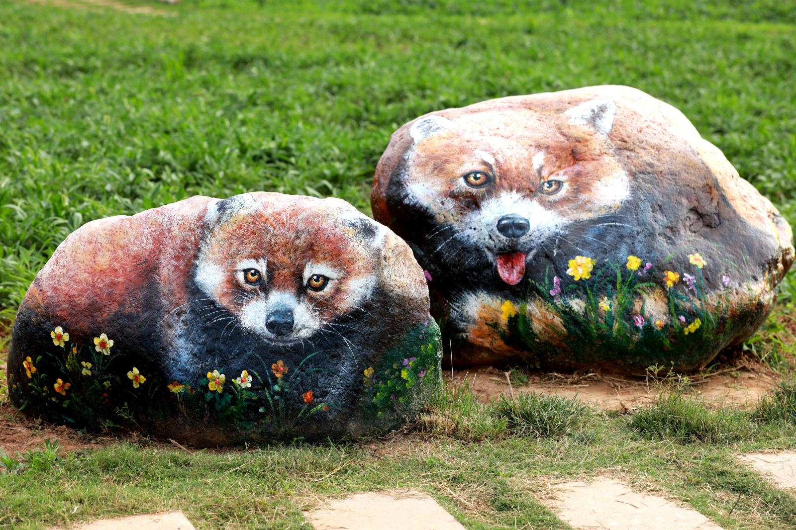 块块石头大变身 可爱动物多趣味