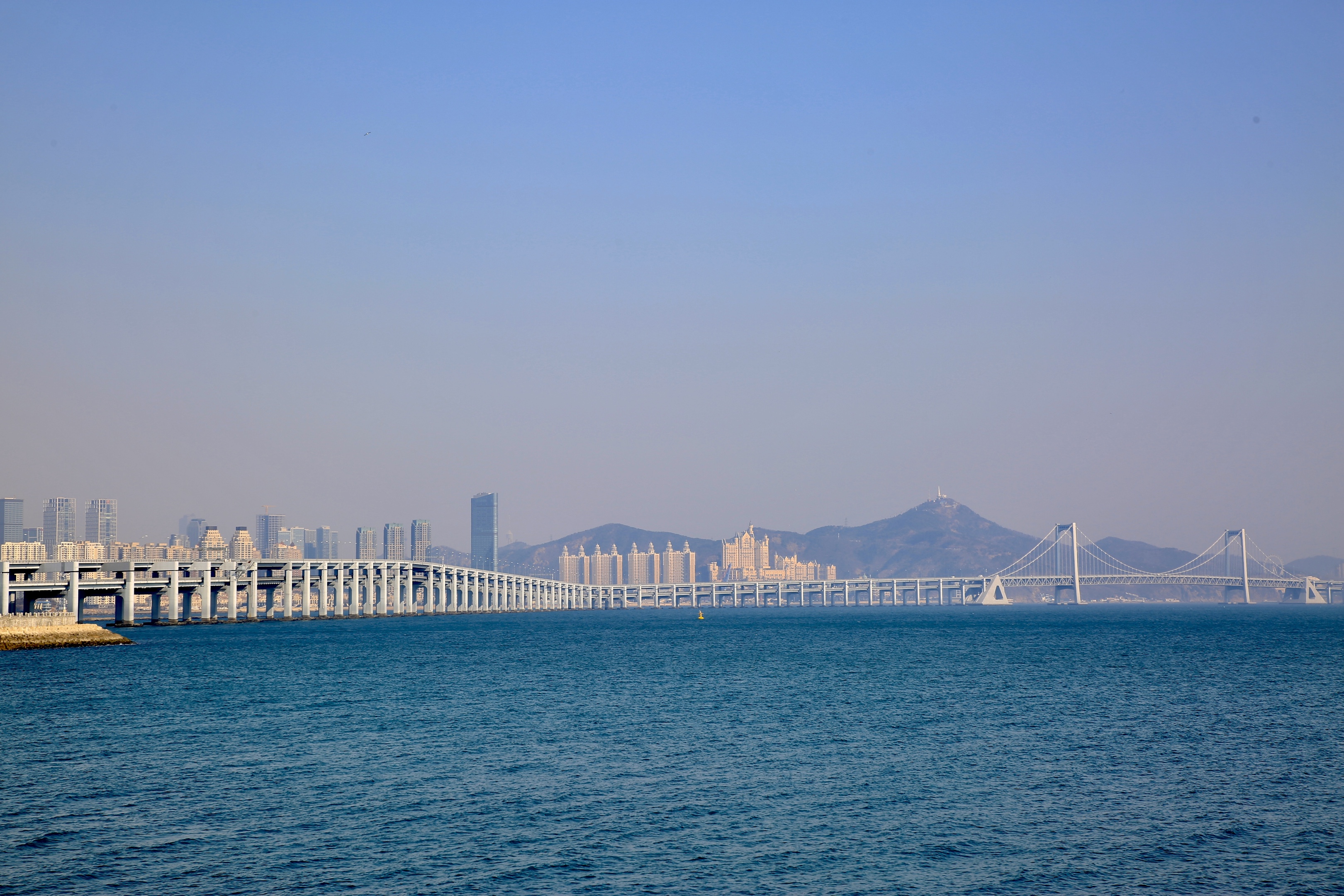 早春二月大连海湾春意盎然