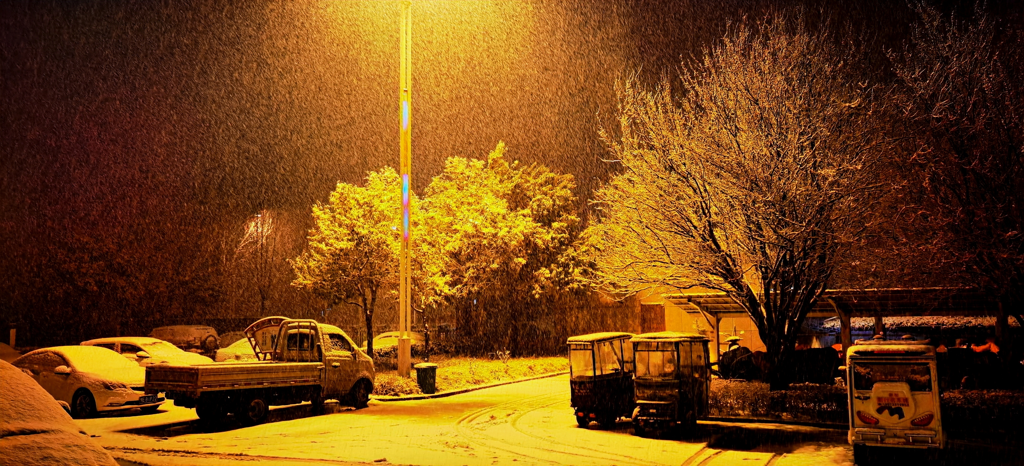 一个庚子年冬天没见个雪毛这时来了场鹅毛风雪夜