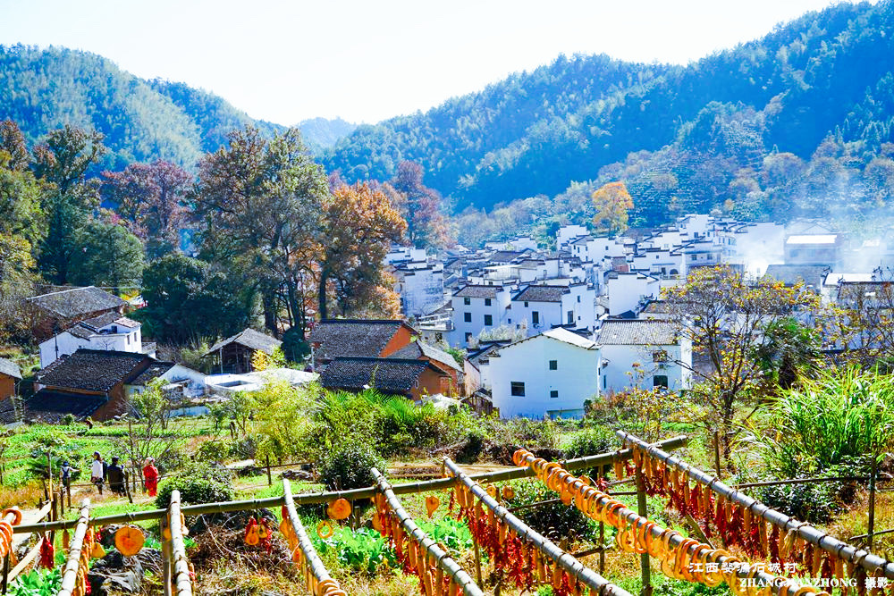 跟我一起走进江西婺源石城村