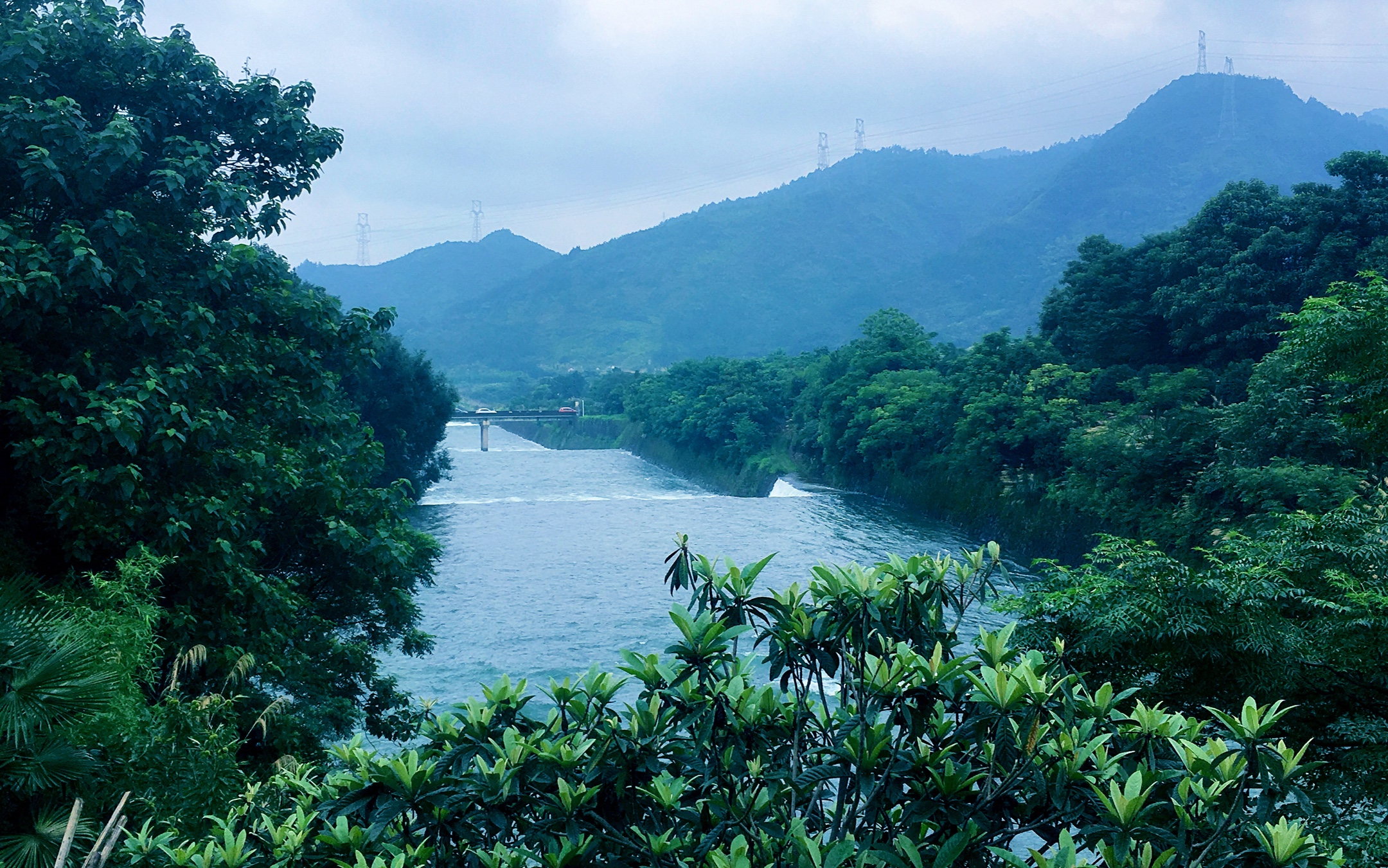 《泄洪·白沙溪畔之美》2019年7月7曰(手机版)