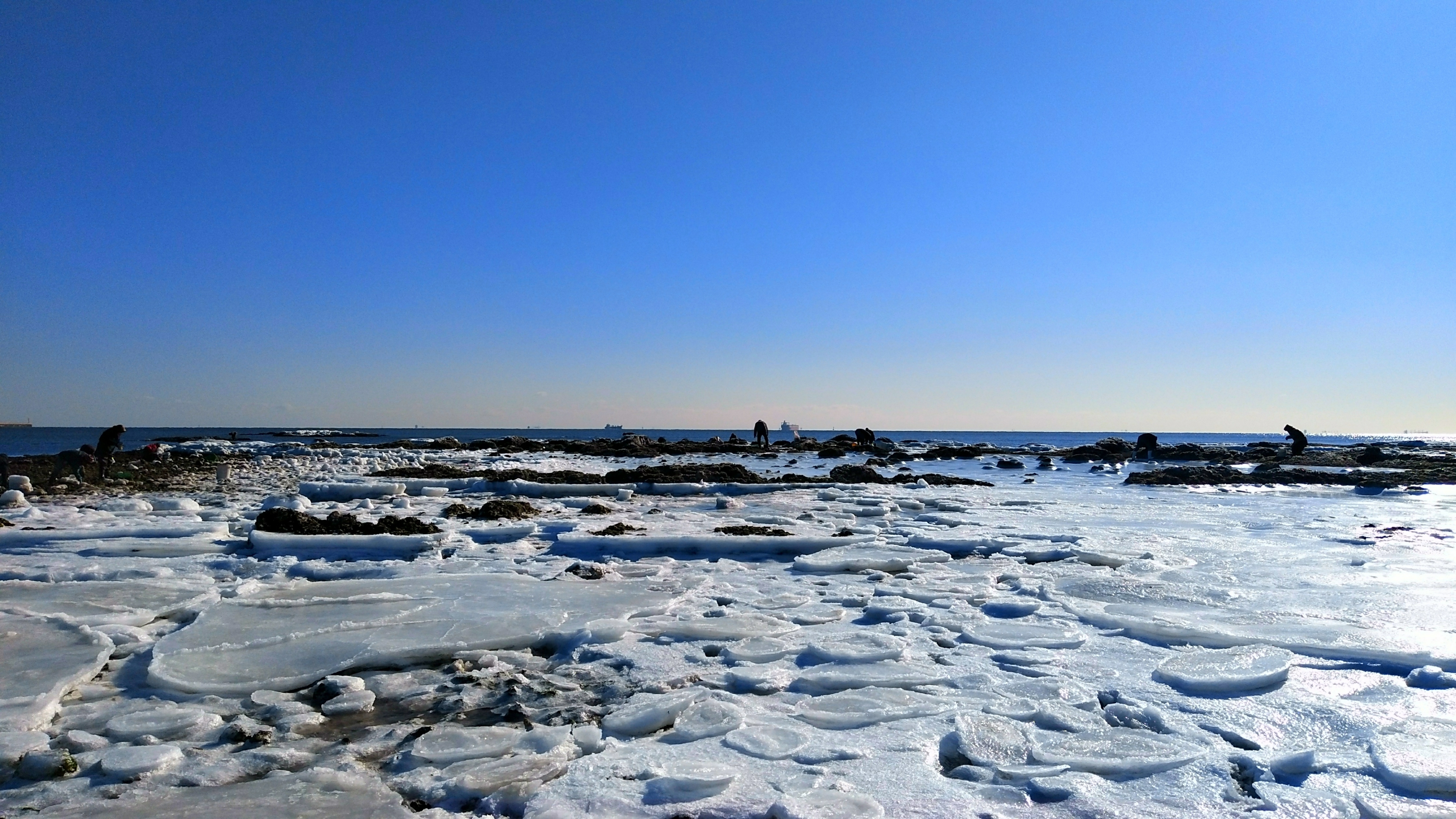 你见过大海结冰吗首发