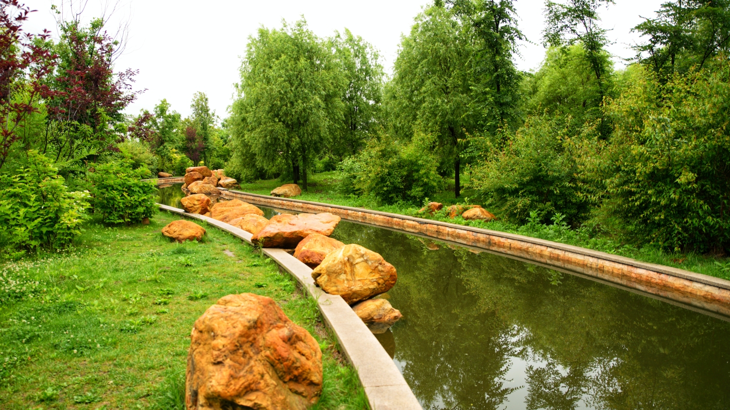 雨后建三江植物园