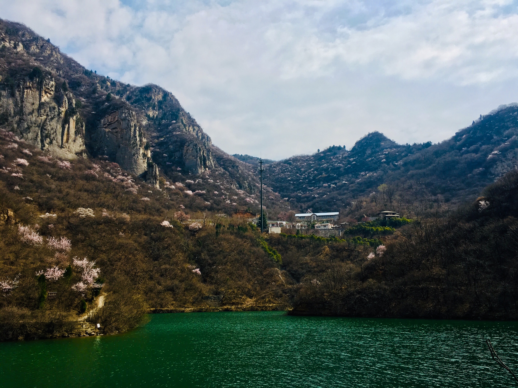 河南鞏義·慈雲寺景區桃花惹醉人