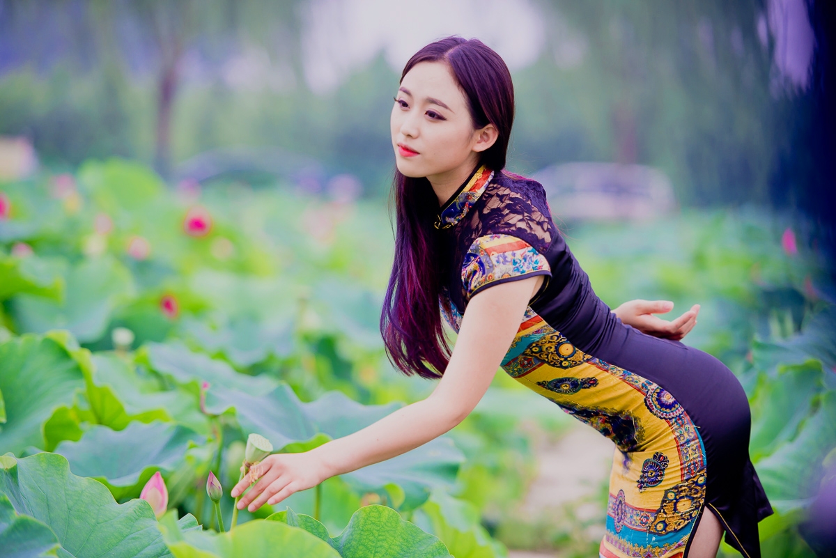 荷塘旗袍美女前言        近日路遇一位穿旗袍的女人