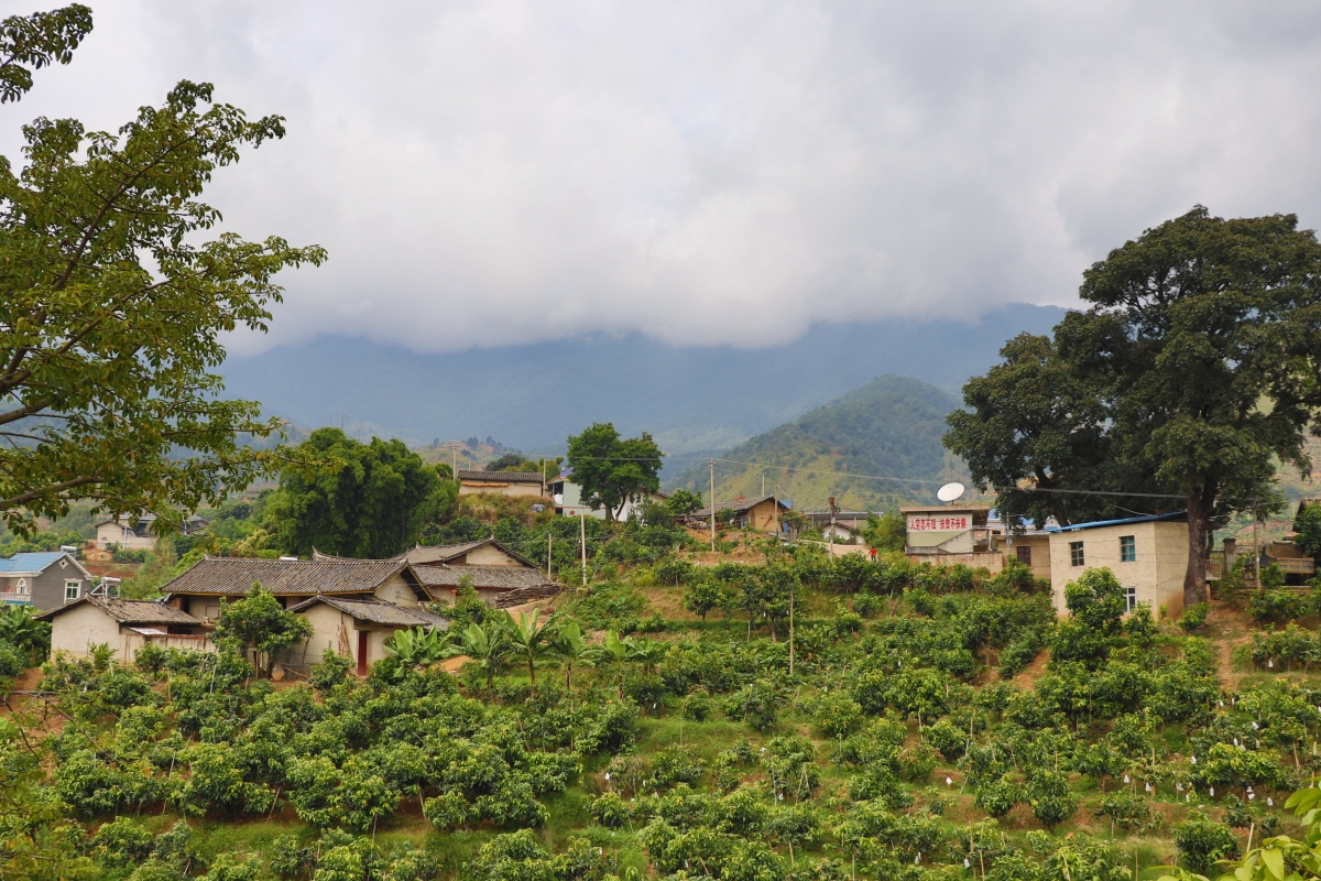 山里人家一一攀枝花市仁和乡中坝乡中坝村