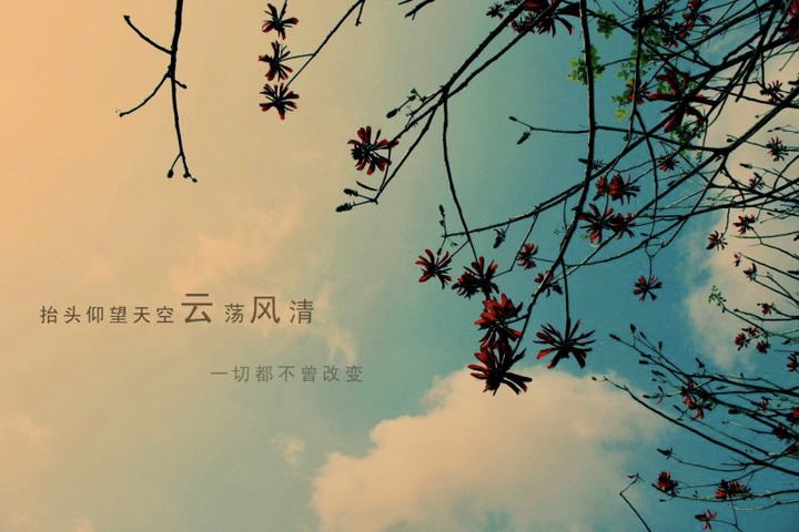 我们的故事(作者碑林路人)