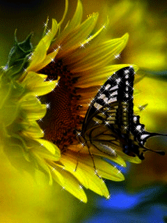 辛勤培育美丽的花朵 一首《祖国的花朵》