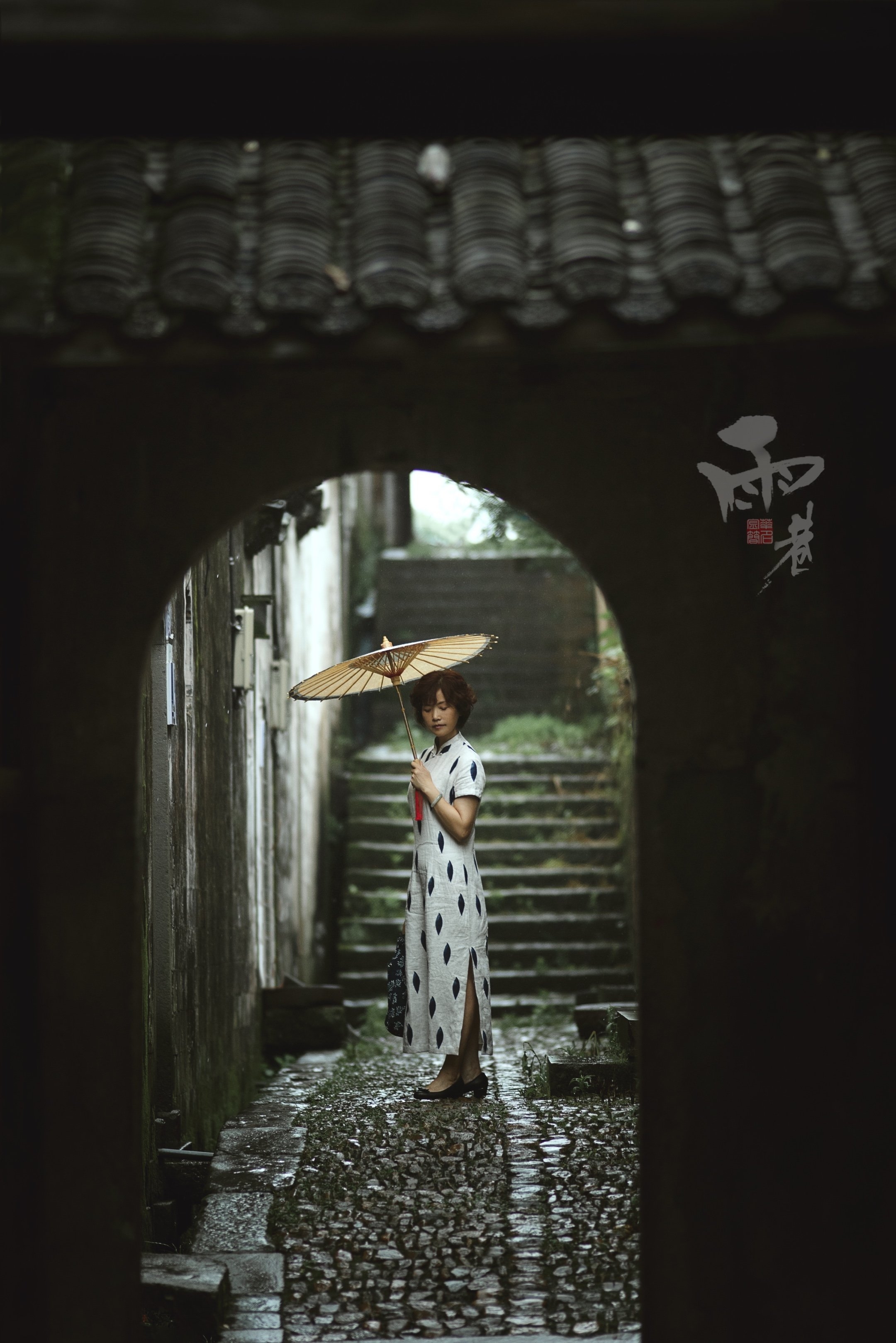 雨巷里的丁香花依然那么凄美