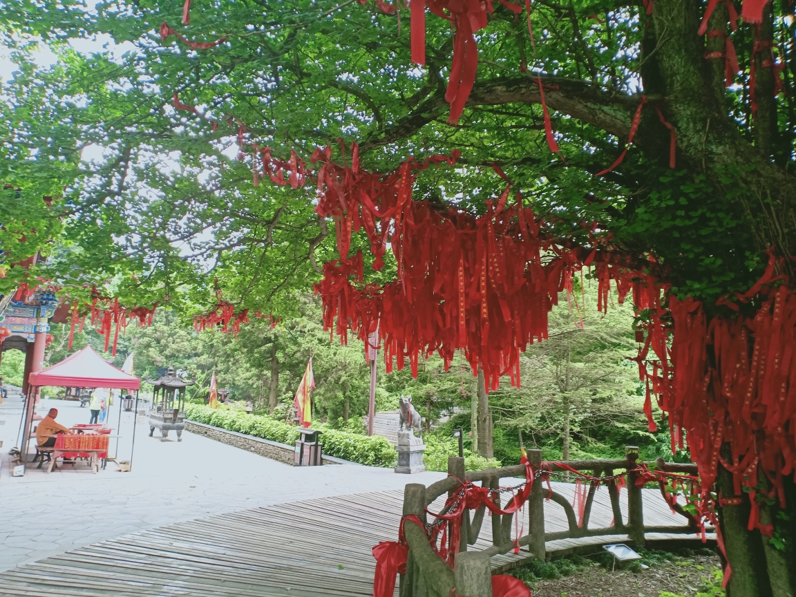 大熊山之旅