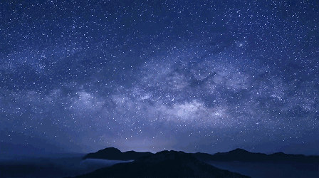 448_250gif 动态图 动图