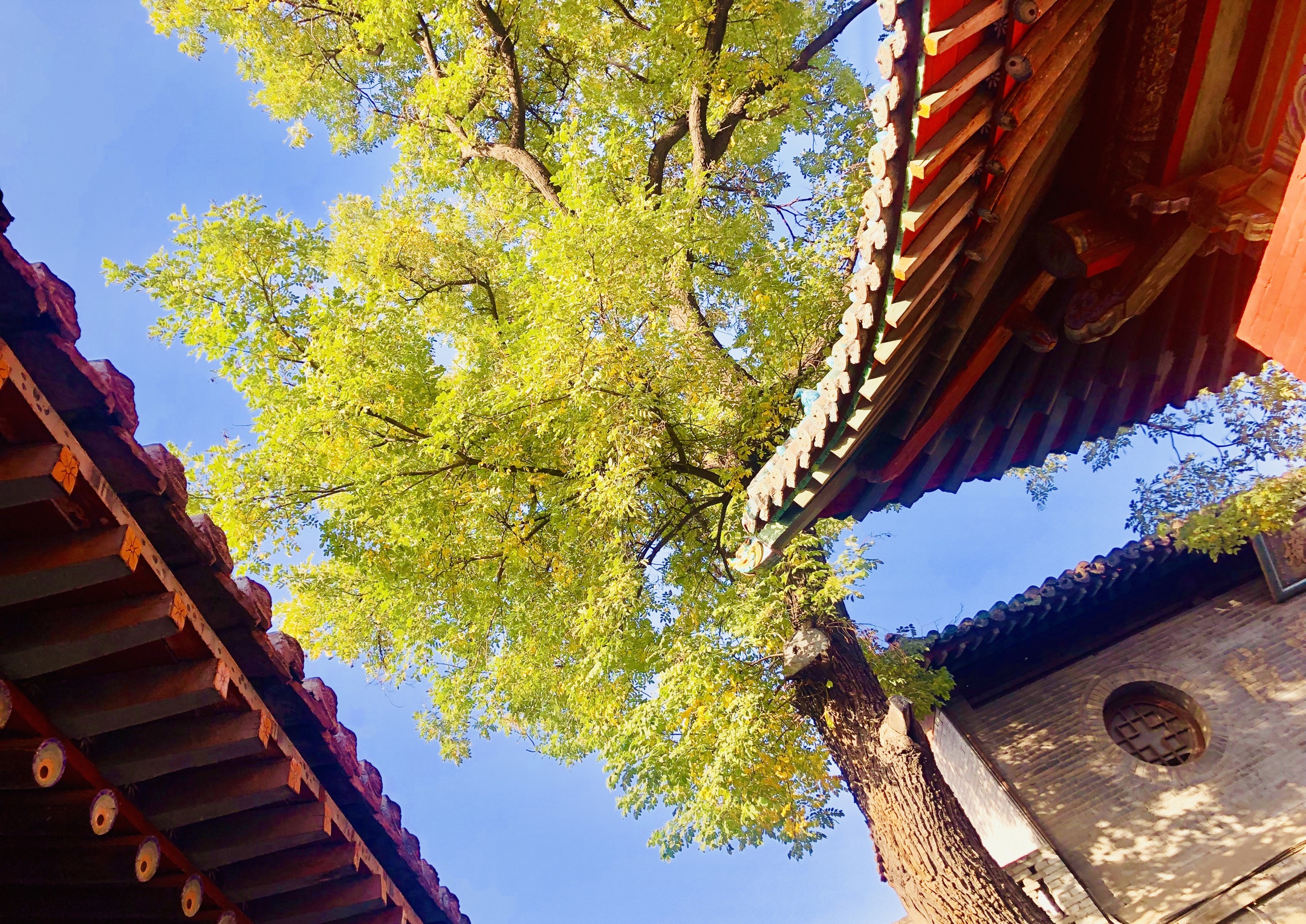 走进～太原闹市中的宗教圣地之一纯阳宫