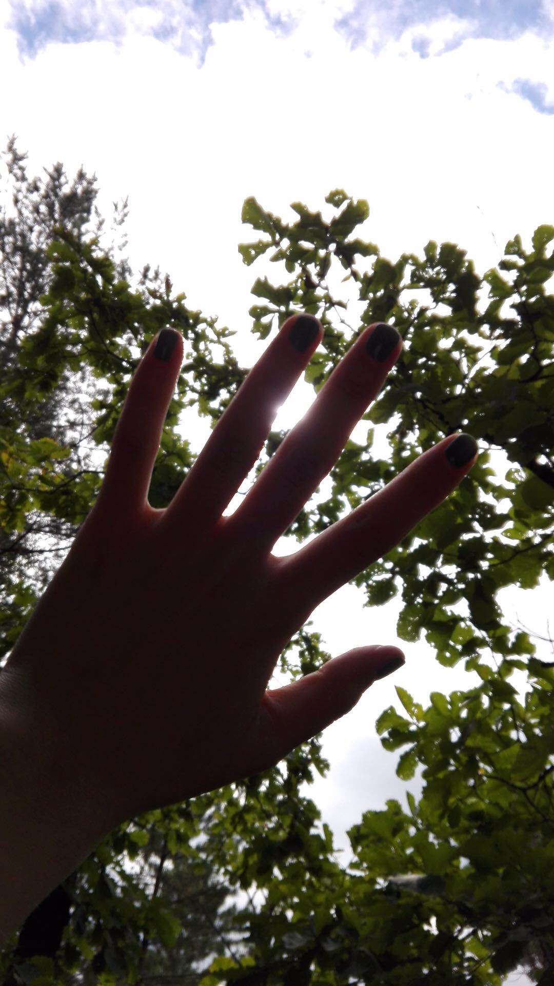 他又从遮挽着的手边过去