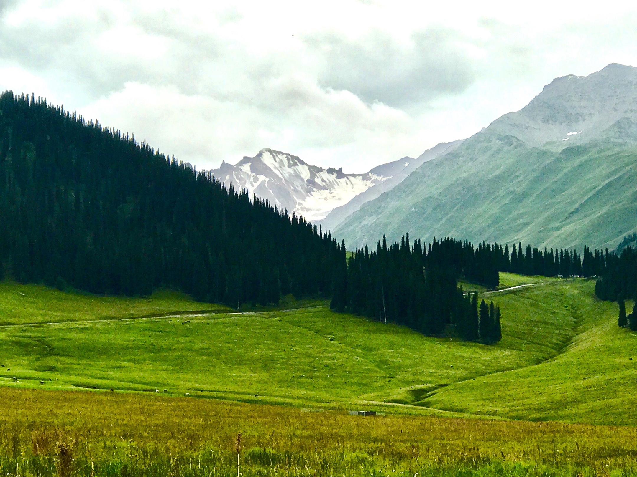 新疆伊犁那拉提空中草原.2019年手机随拍一一之21.