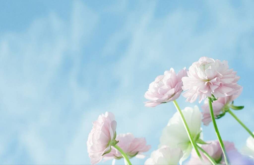 愿海行                 绵绵细雨润青山, 云海仙踪起浩澜.