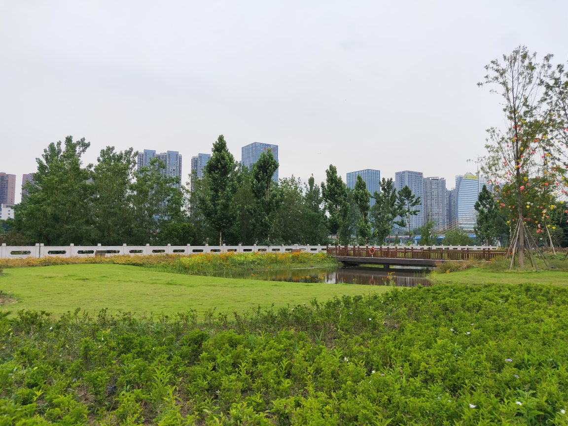 南充印象嘉陵江溼地公園夜景(手機版)完稿於5,10日.