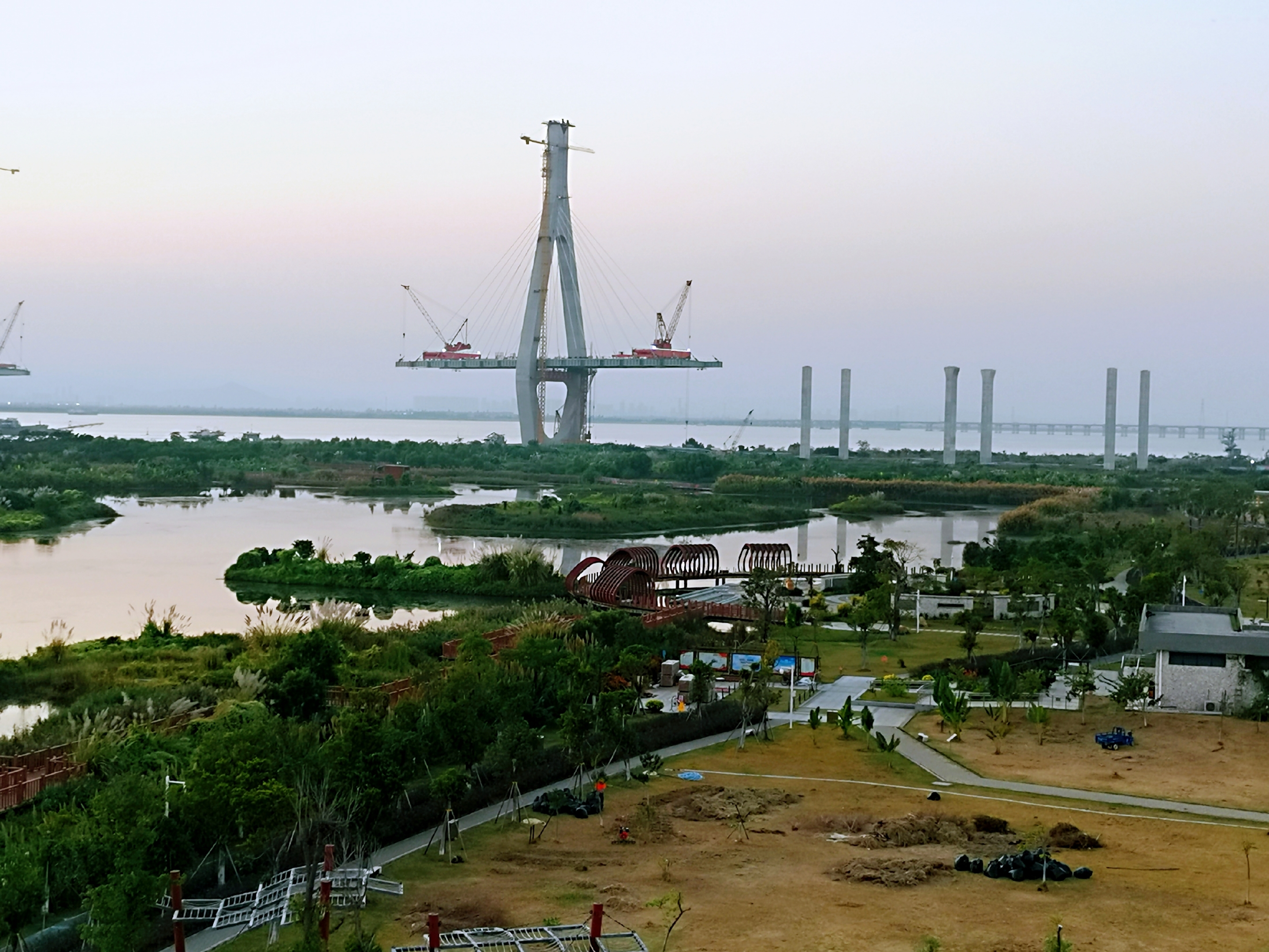 横琴滨海湿地公园图片图片