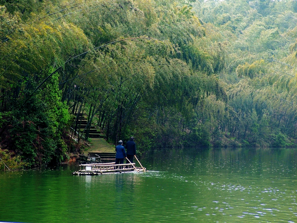 蜀南竹海全景图,蜀南竹海忘忧谷,蜀南竹海风景区图片_大山谷图库
