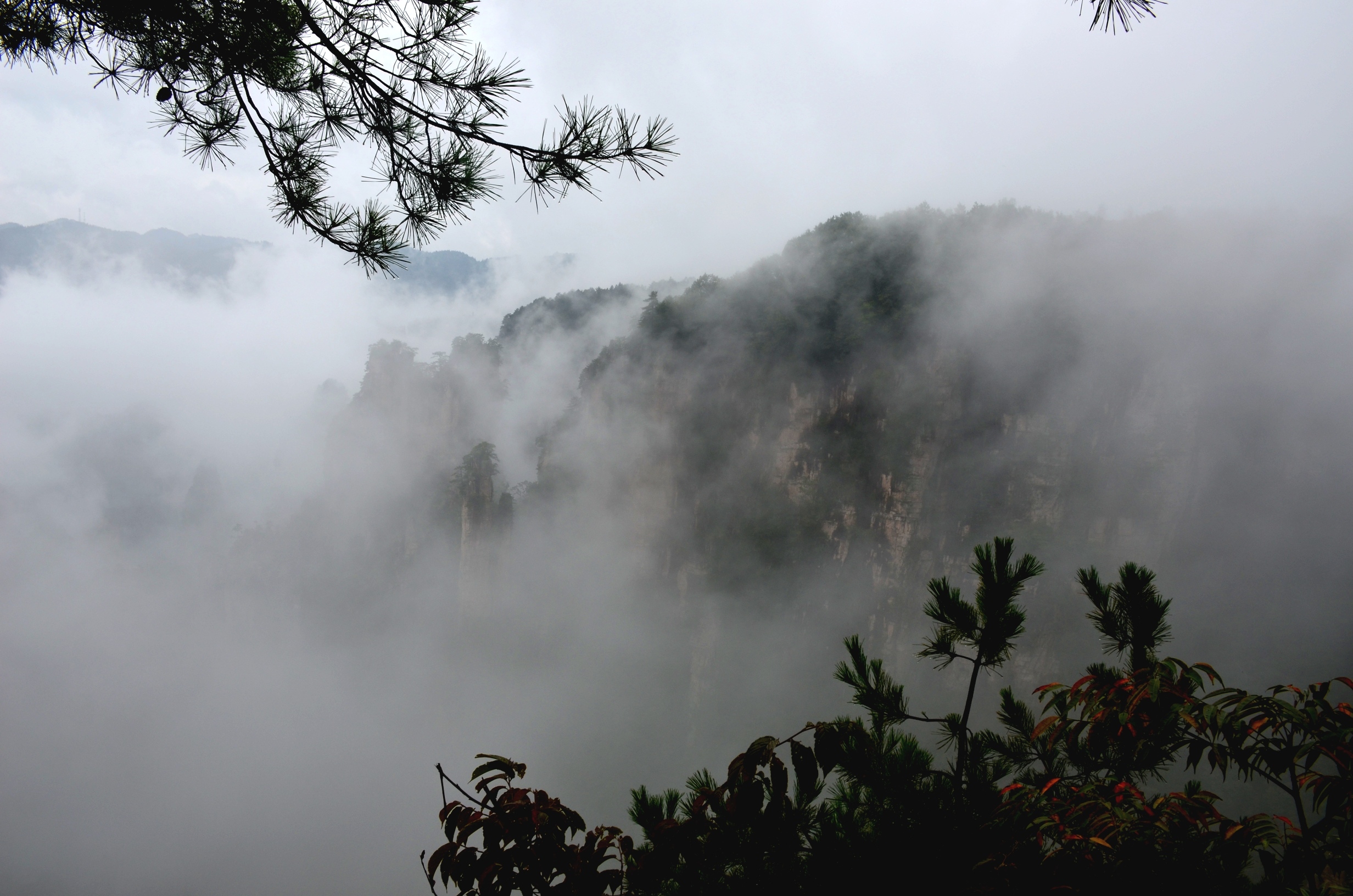 云雾中的天子山