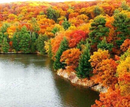 【兰亭佳苑】诗人廋竹先生诗词专辑 (一)【兰亭佳苑】总第161集