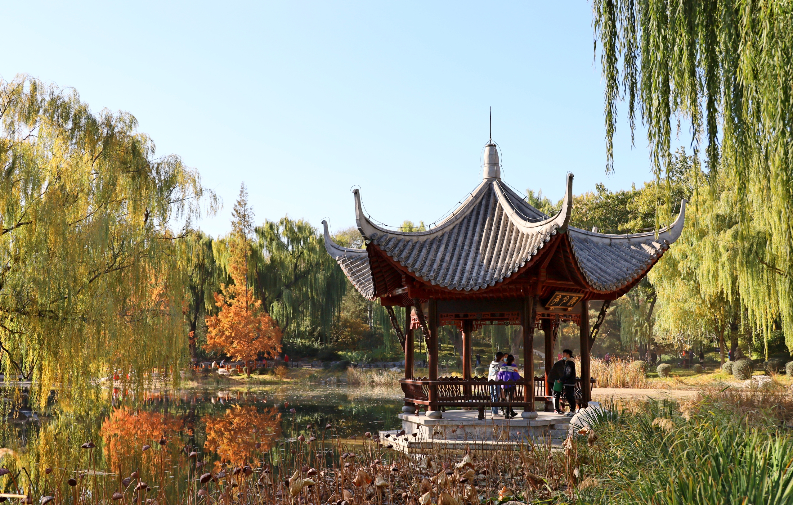 陶然亭公园里的华夏名亭园