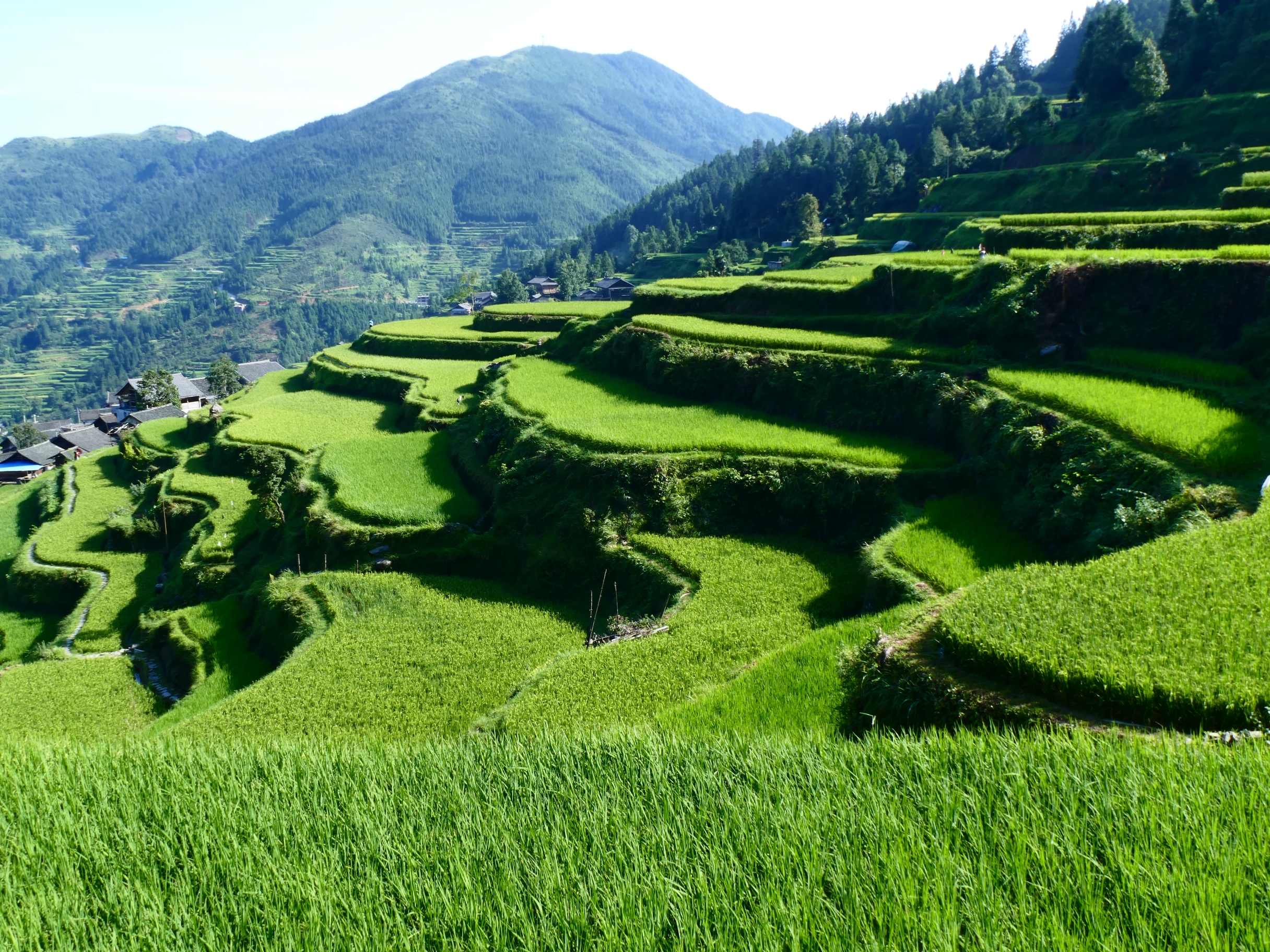 堂安梯田首发