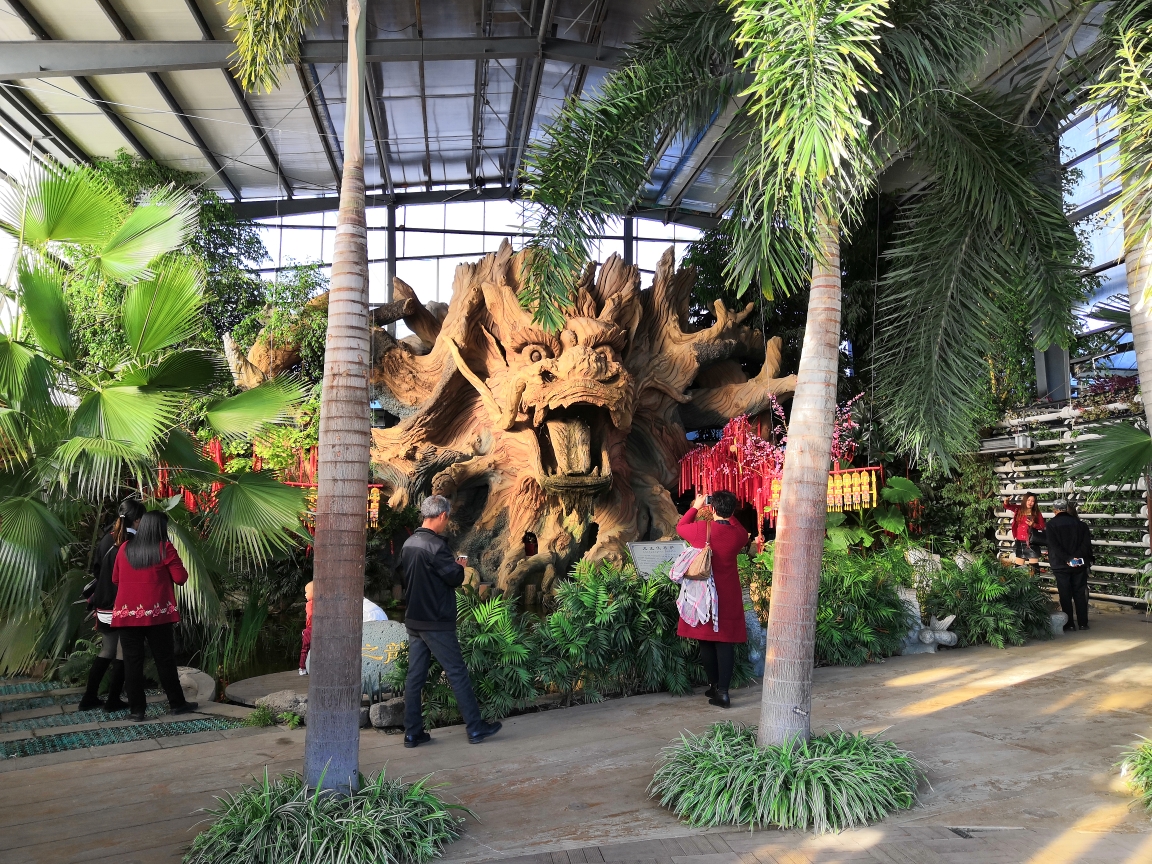 美丽绥滨植物园