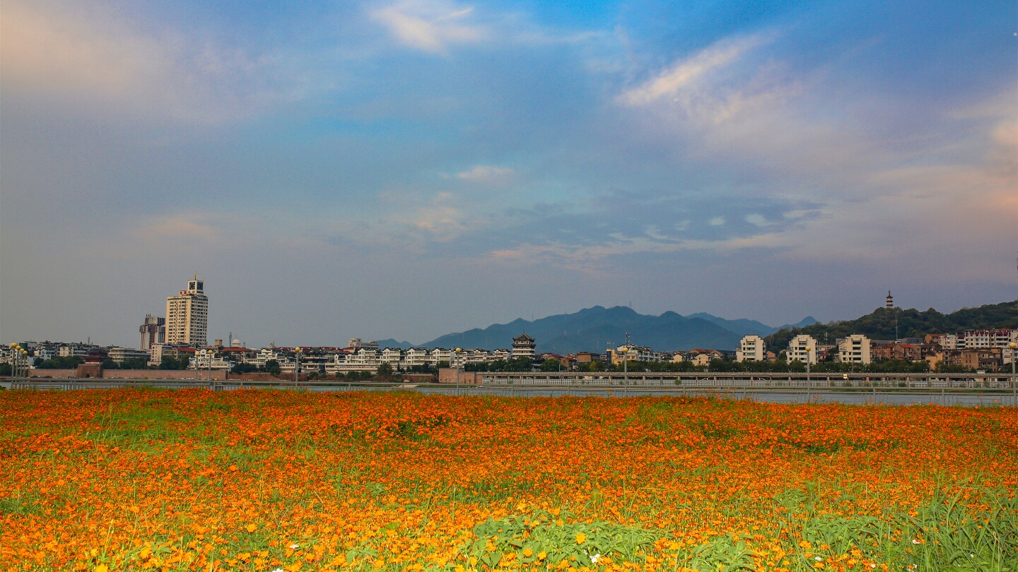 走進風雅蘭溪 之中洲公園