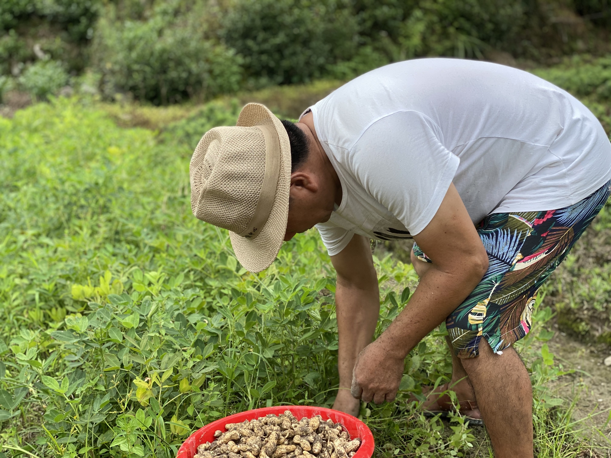 摘花生·我的家庭日