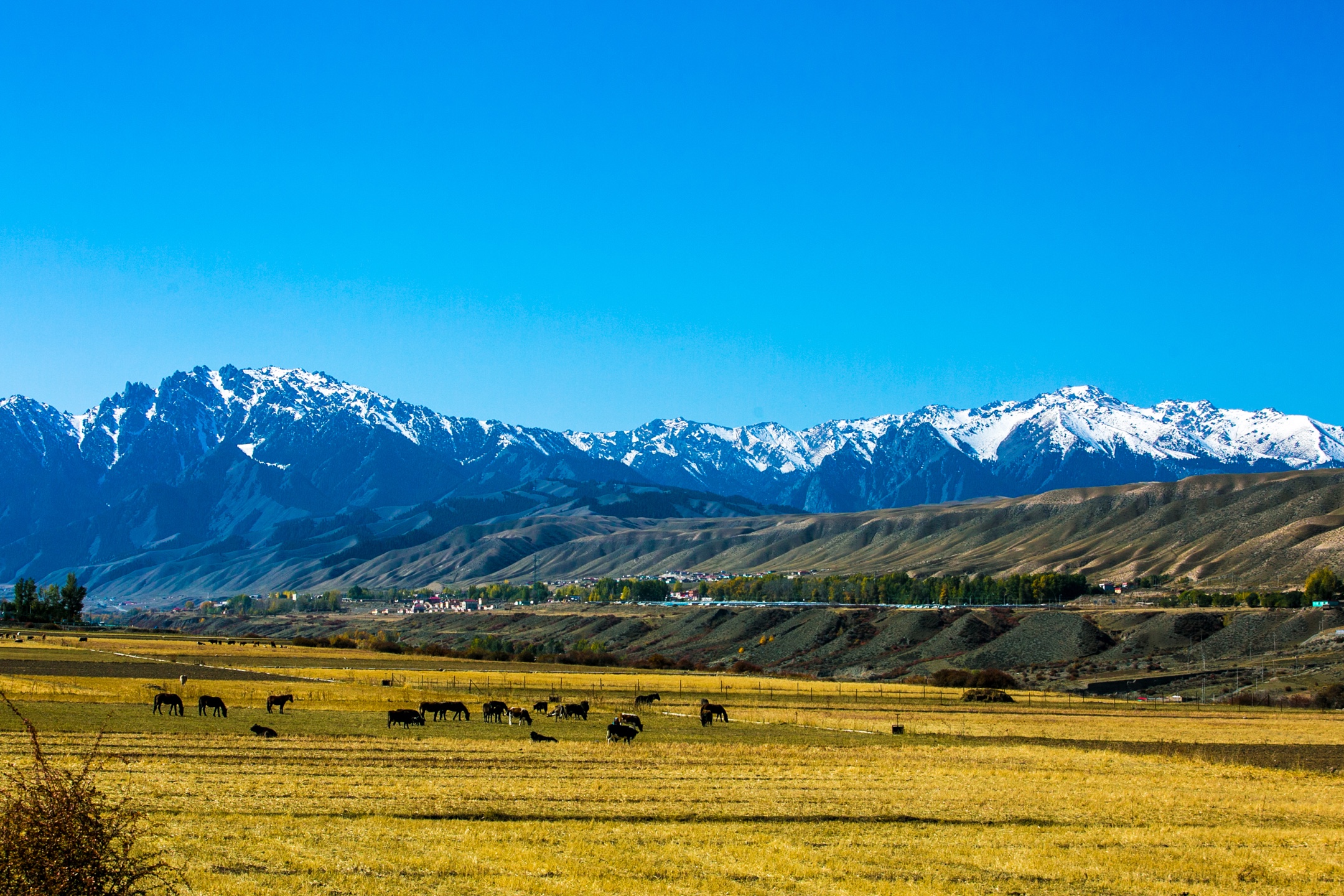 祖国江山美如画 西北风光无限好