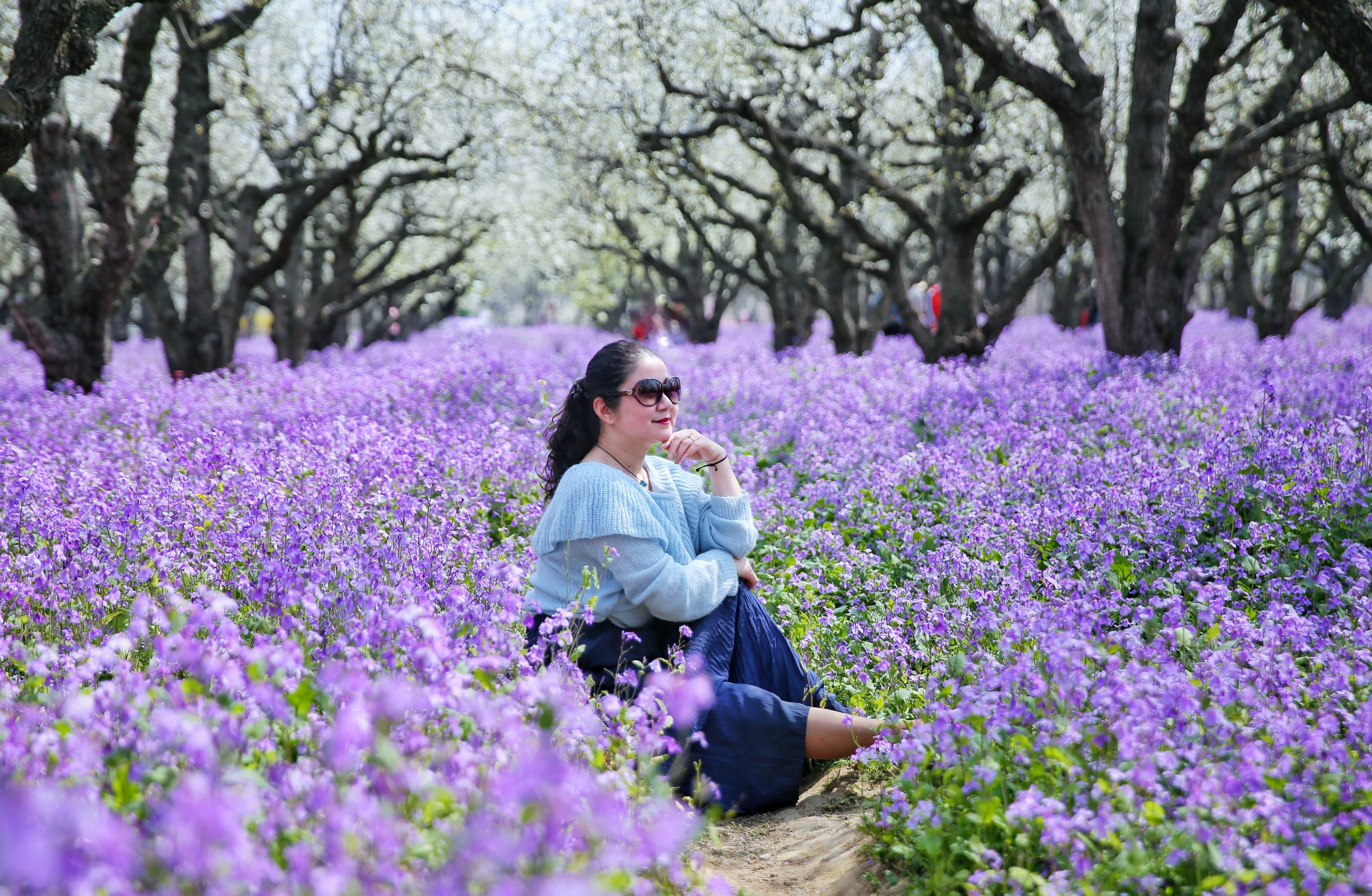 宿迁三台三梨兰会