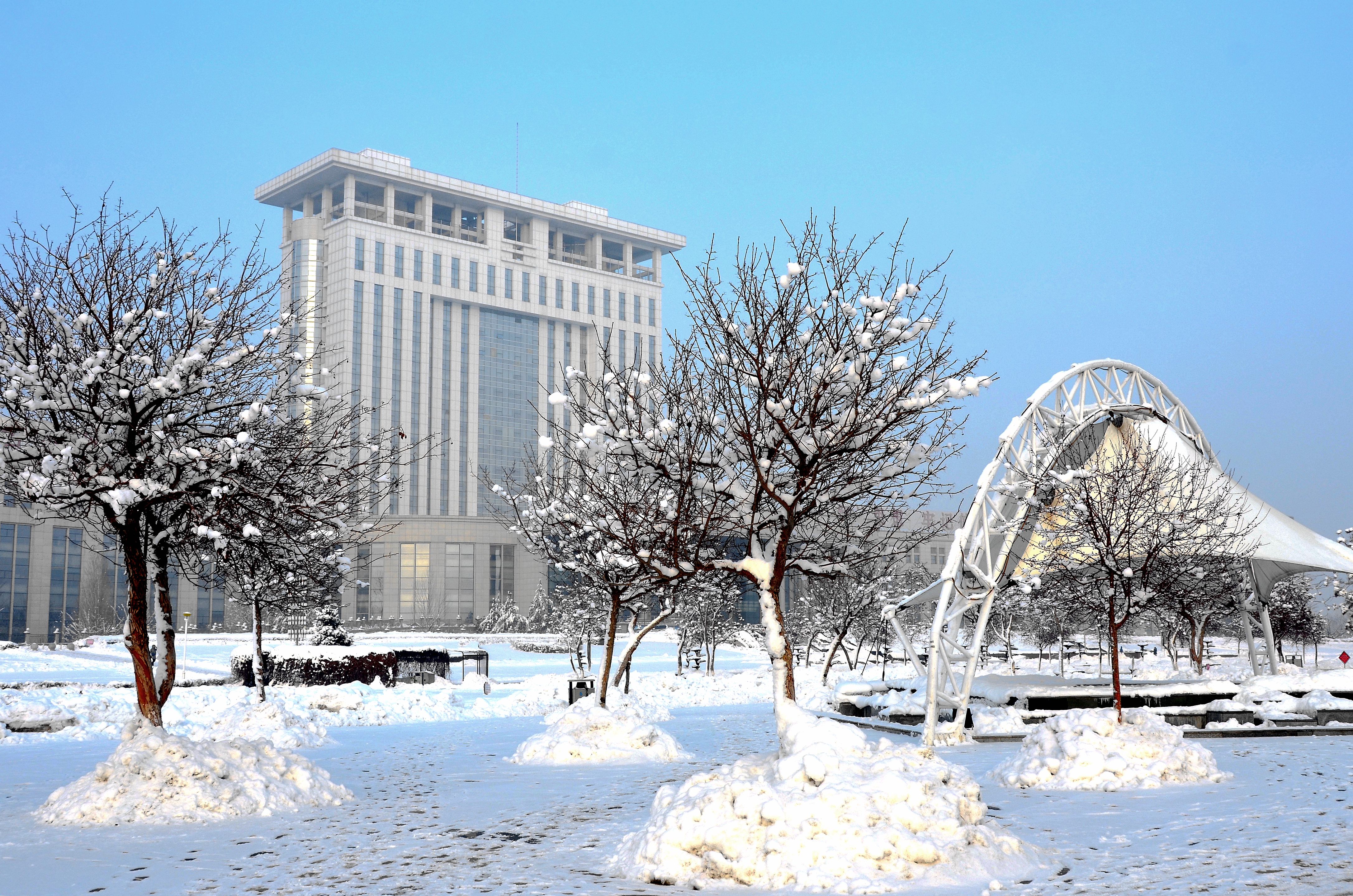 我爱你塞北的雪新疆石河子雪景欣赏