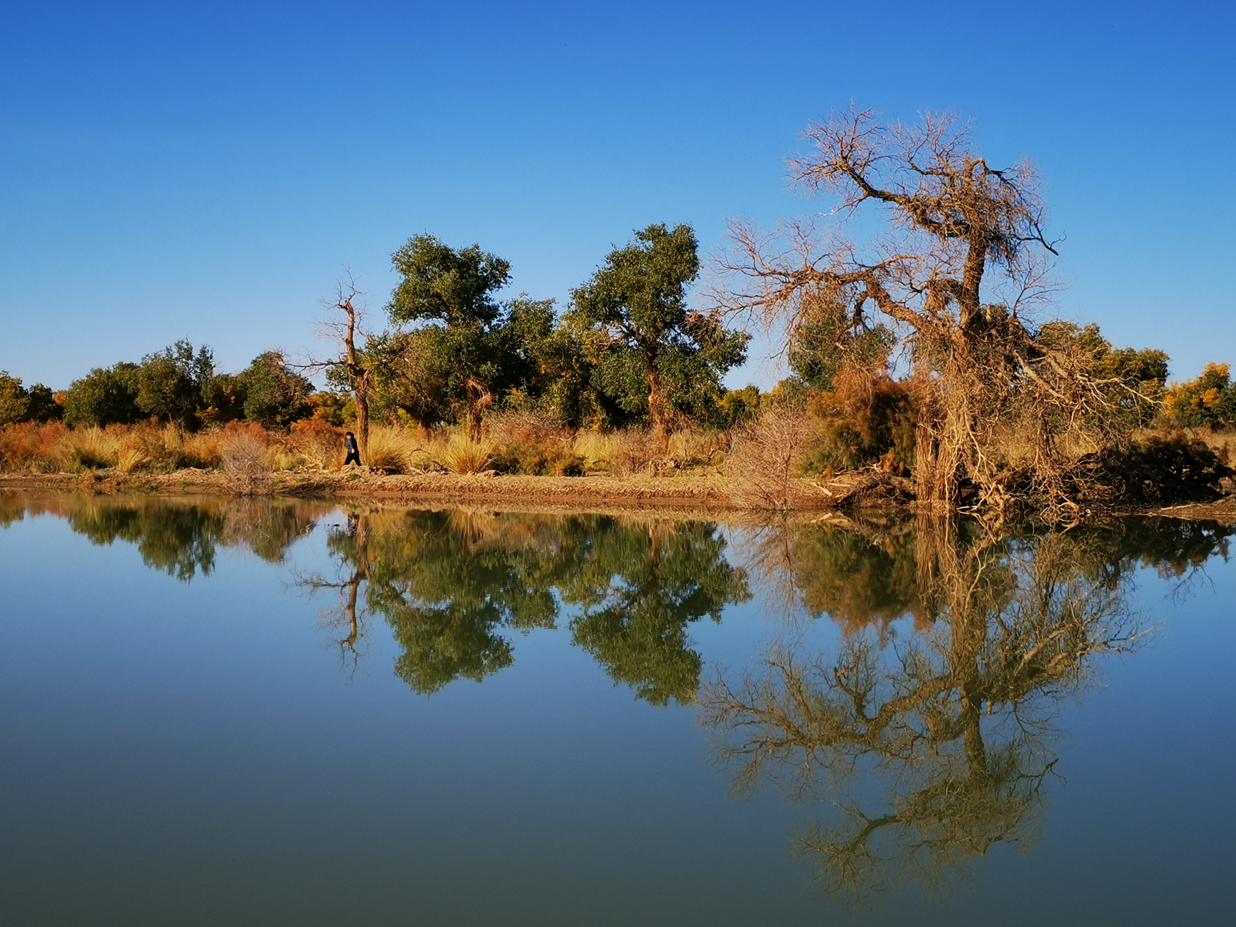 秋韵鲁西南手机摄影网以秋为主题的摄影作品上