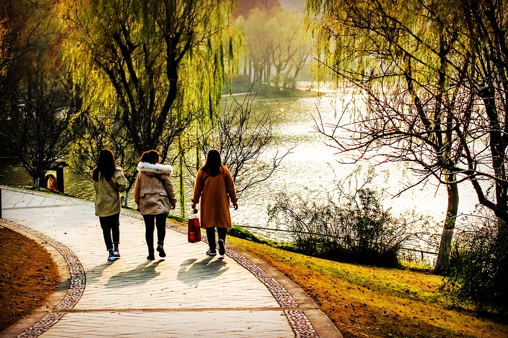 冬天的体育公园里散步健身的人,比其它季节要少很多.