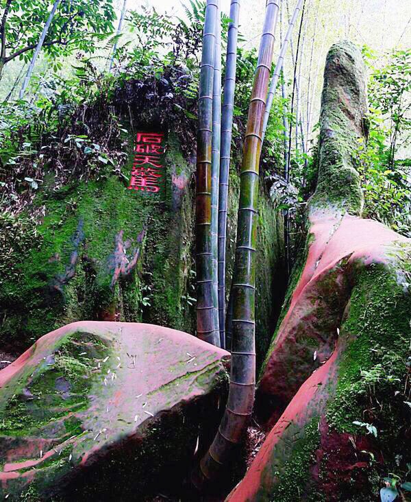 蜀南竹海之忘忧谷