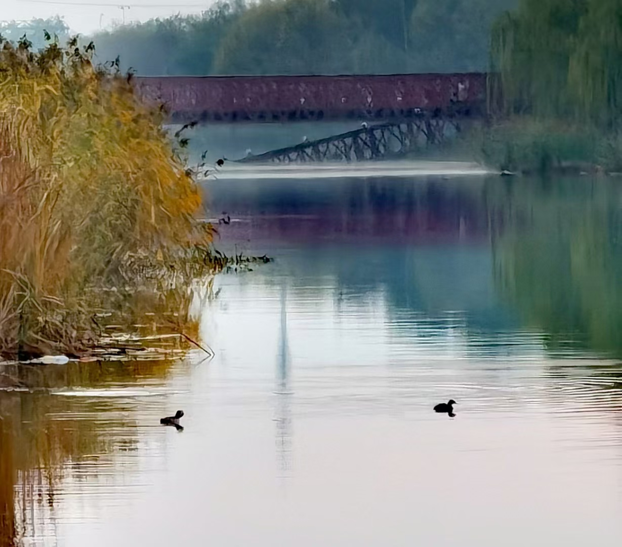 「首发」梦里的清泉湖