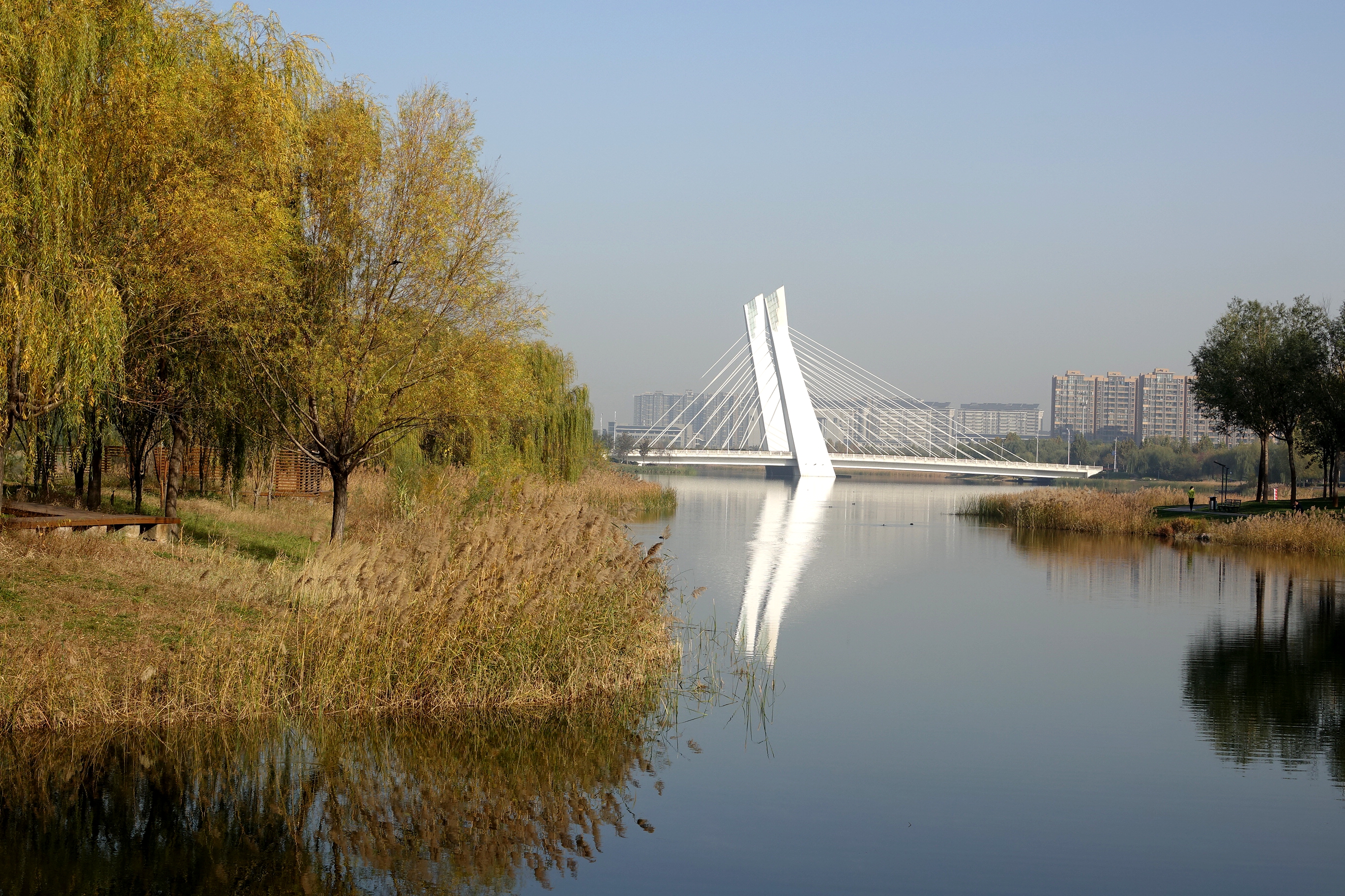 龙子湖初冬的景色